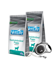 FARMINA VetLife Dog Puppy Gastrointestinal Puppy - Nourriture gastro-intestinale pour chiots - 2 x 12 kg + FLEXI Laisse New Comfort L 8 m OFFERTE