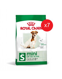 ROYAL CANIN Mini Adult 8+ Aliment sec pour chiens âgés à partir de 8 ans de petites races 7x2 kg