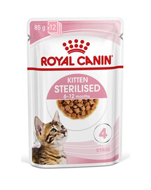 ROYAL CANIN Kitten Sterilised Nourriture humide pour chatons stérilisés de 6 à 12 mois en sauce 48x85 g