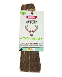 ZOLUX Original Nature Puppy - Mue Savauge Garantie Bois de cerf pour chiots - 60-80 g