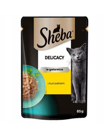 SHEBA Delicacy in jelly 85g morceaux de poulet en gelée pour chats