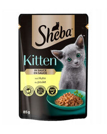 SHEBA Kitten 85g avec du poulet en sauce pour chatons