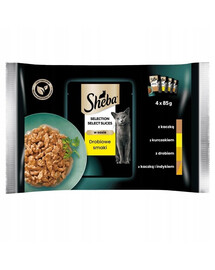 SHEBA Selection Select Slices Poultry Flavours 4x85g nourriture humide avec canard, poulet, volaille, canard et dinde pour chats
