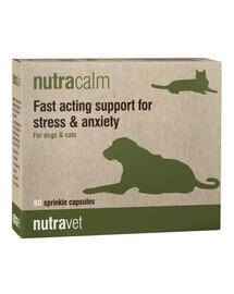 NUTRAVET Nutracalm 60 gélules contre le stress et l'anxiété pour chiens et chats