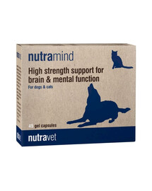 NUTRAVET Nutramind 45 gélules pour soutenir le fonctionnement cérébral et l'apprentissage des chiens et des chats