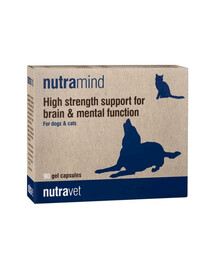 NUTRAVET Nutramind 90 gélules pour soutenir le fonctionnement cérébral et l'apprentissage des chiens et des chats