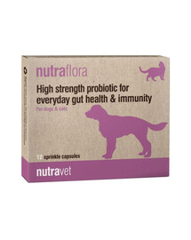 NUTRAVET Nutraflora 12 gélules probiotiques favorisant la santé intestinale et l'immunité des chiens et des chats