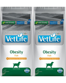 FARMINA VetLife Obesity Fish - nourriture diététique au poisson pour chiens adultes diabétiques - 2x12 kg