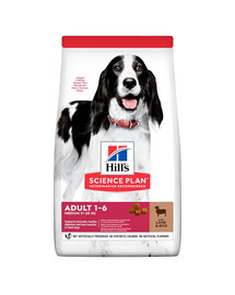 HILL'S Science Plan Canine Adult Medium Lamb & Rice 18 kg nourriture pour chiens de taille moyenne agneau et riz + 2 boîtes de conserve et Ajax Spray GRATUITS