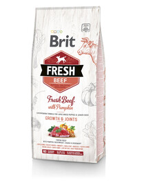 BRIT Fresh beef with pumpkin puppy large - Boeuf frais & citrouille pour chiot de grandes races - 12 kg