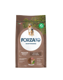 FORZA10 Medium Adult Maintenance Lamb Rice pour les chiens de taille moyenne 12 kg