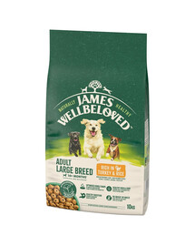 JAMES WELLBELOVED Adult Croquettes complètes pour chiens adultes de grande race >14 mois - 10 ans riches en dinde et en riz 10 kg