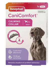 BEAPHAR CaniComfort Collier Apaisant pour Chien 65 cm collier avec phéromones pour chiens