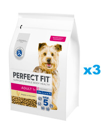 PERFECT FIT Adult 1+ Croquettes complètes pour chiens adultes de petites races, riches en poulet 3x2,6 kg