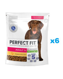 PERFECT FIT Adult 1+ Croquettes complètes pour chiens adultes de grandes races, riches en poulet 6x825g