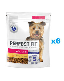 PERFECT FIT Adult 1+ Croquettes complètes pour chiens adultes de petites races, riches en poulet 6x825g