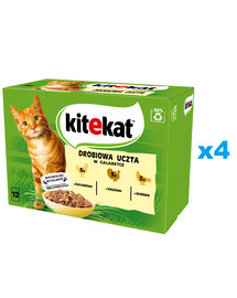 KITEKAT Festin de volaille 48x85 g Aliment complet humide pour chats adultes à base de poulet, dinde et volaille en gelée