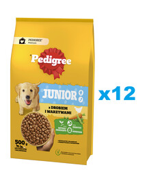 PEDIGREE Junior 12x500 g avec volaille et légumes aliment complet sec pour chiens de grande et moyenne taille en pleine croissance