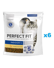PERFECT FIT Indoor 1+ 6x750 g Aliment sec complet pour chats adultes, riche en poulet