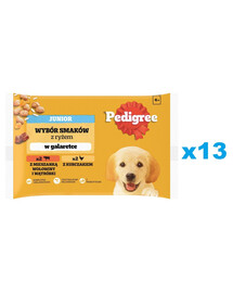 PEDIGREE Junior Choice of flavours with rice sachet 52x100g nourriture humide pour chiots en gelée avec du poulet et du bœuf