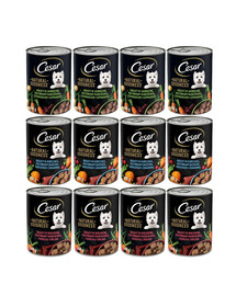 CESAR boîte 12x400g - Aliment complet humide pour chiens adultes (à l'agneau et aux légumes, au bœuf et aux légumes, au poulet et aux légumes)
