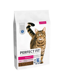 PERFECT FIT Adult 1+ 7 kg nourriture sèche complète pour chats adultes riche en saumon frais