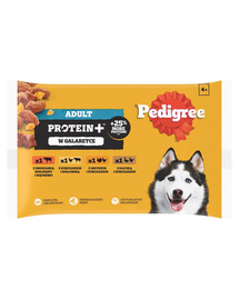 PEDIGREE Adult Protein+ sachets 4x85 g nourriture humide complète pour chiens adultes avec un mélange de bœuf et de foie, avec du poulet et du bœuf, avec de la dinde et du poulet, avec du canard et du poulet en gelée