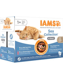 IAMS Cat Delights Adult All Breeds Sea In Jelly Pouch 12 x 85 g