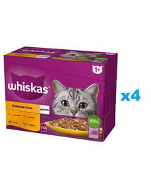 WHISKAS Adult sachet 48x85g Poultry Feast nourriture humide pour chat en gelée avec : poulet, canard, volaille, dinde