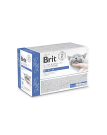 BRIT Veterinary Diet Grain Free Recovery Cat Fillets in Gravy Salmon 12x85g pour les chats en période de convalescence