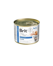 BRIT Veterinary Diet Grain Free Recovery 200 g saumon et foie de poulet pour chien et chat en période de convalescence