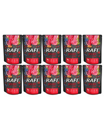 DOLINA NOTECI RAFI z wołowiną saszetka dla psa 10x300 g