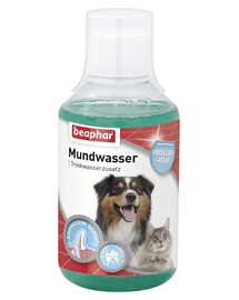 BEAPHAR Mundwasser Liquide pour l'hygiène buccale et dentaire des chiens et des chats 250 ml