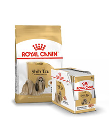 ROYAL CANIN Shih Tzu Adult nourriture sèche pour chiens adultes de race shih tzu 1,5 kg + 12 x 85 g sachets de nourriture humide, morceaux dans une sauce