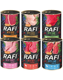 DOLINA NOTECI Rafi Premium Mix smaków 48x400g