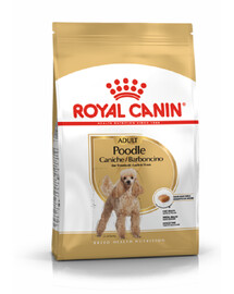 ROYAL CANIN Poodle Adult 2 x 1,5 kg, croquettes pour chiens adultes de race caniche nain