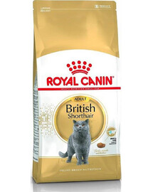 ROYAL CANIN British Shorthair croquettes pour chats adultes de race British Shorthair 12x400 g