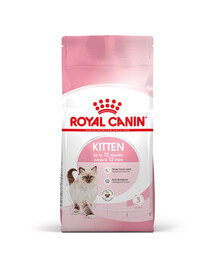 ROYAL CANIN Kitten 6 x 400 g, croquettes pour chatons de 4 à 12 mois