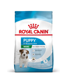 ROYAL CANIN Mini Puppy / Junior, croquettes pour chiots de 2 à 10 mois, races de petite taille, 6 x 800 g