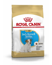 ROYAL CANIN Jack Russell Terrier Puppy Junior, croquettes pour chiots jusqu'à 10 mois, race Jack Russell Terrier, 2 x 1,5 kg