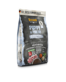 BELCANDO Finest Grain Free Puppy Poultry Croquettes pour chiots 2x1 kg