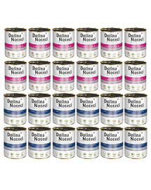 DOLINA NOTECI Mélange de saveurs Premium Riche en morue, avec des brocolis et de la dinde 24 x 800 g