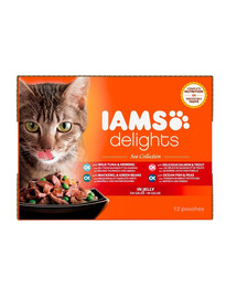 IAMS Cat Delights Adult All Breeds Ocean Fish In Jelly Pouch 12 x 85 g