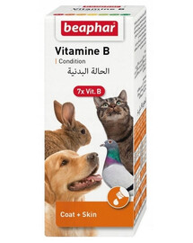 BEAPHAR Vitamin B Complex Ensemble de Vitamines B 50 ml