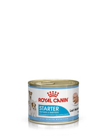 ROYAL CANIN Starter Mousse Mother & Babydog 6 x 195 g, aliment humide - mousse, pour les chiennes en gestation et en lactation ainsi que pour les chiots