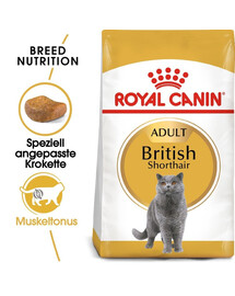 ROYAL CANIN British shorthair 34 4x2 kg croquettes pour chats adultes, âgés de plus de 12 mois, de race British Shorthair