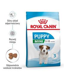 ROYAL CANIN Mini Puppy / Junior, croquettes pour chiots de 2 à 10 mois, races de petite taille, 12 x 800 g