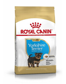 ROYAL CANIN Yorkshire Terrier Puppy Junior, croquettes pour chiots jusqu'à 10 mois, race Yorkshire Terrier, 6 x 0,5 kg