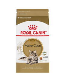 ROYAL CANIN Maine Coon Adult : croquettes pour chats adultes de race Maine Coon, 6 x 400 g