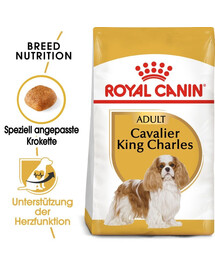 ROYAL CANIN Cavalier King Charles Spaniel Adult 2 x 1,5 kg – croquettes pour chiens adultes de race Cavalier King Charles Spaniel